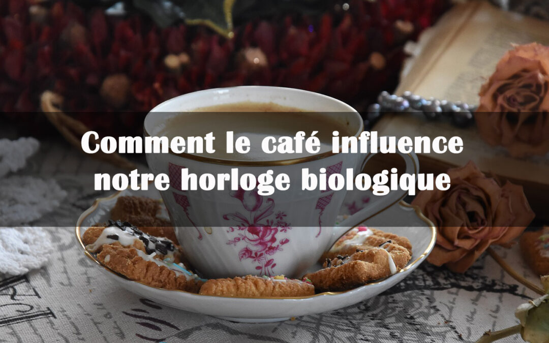 café et horloge biologique