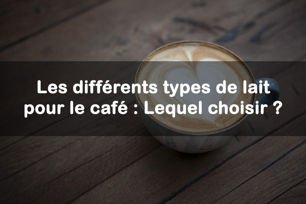 differents types de lait pour le café