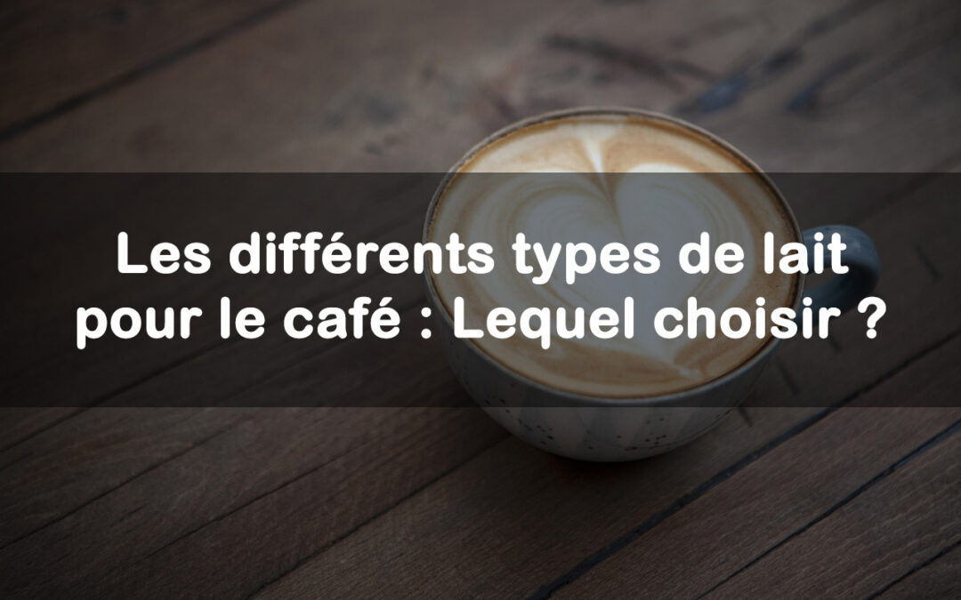 differents types de lait pour le café